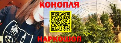 ALPHA PVP Будённовск
